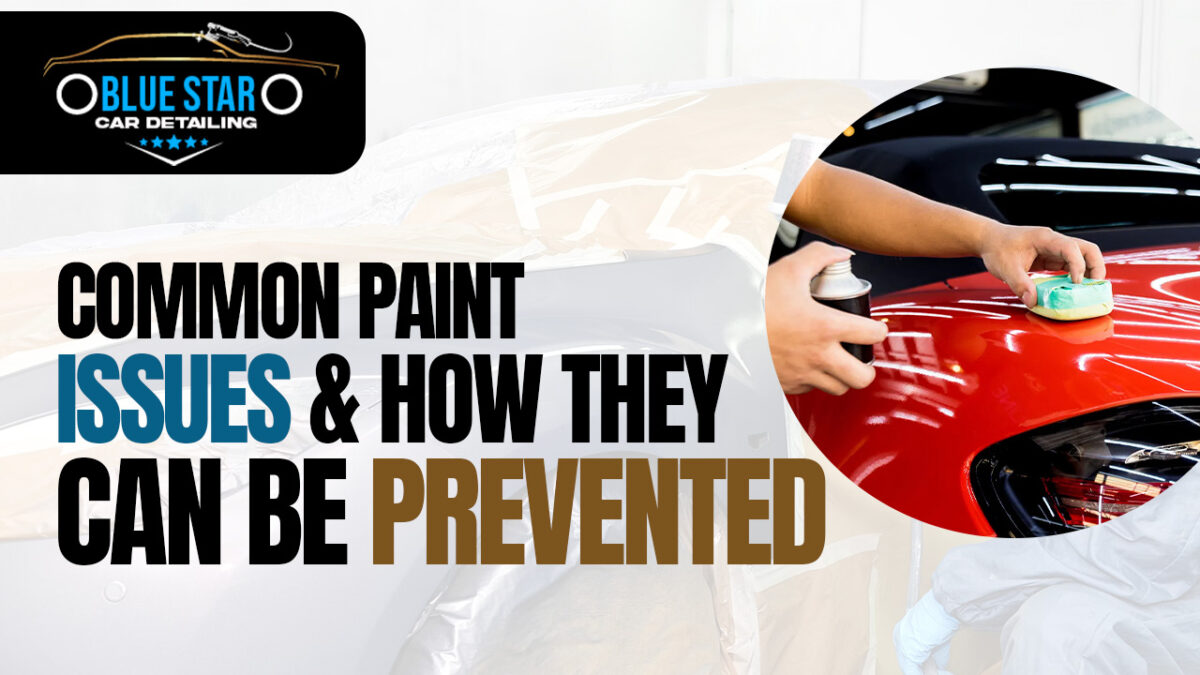 Common paint issues and how they can be prevented.